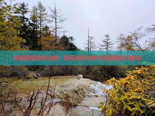 海南跟团旅游全攻略 如何选择与参与优质团队游体验