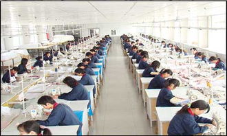 上海春晖旅游用品厂 一站式旅游用品与信息咨询解决方案